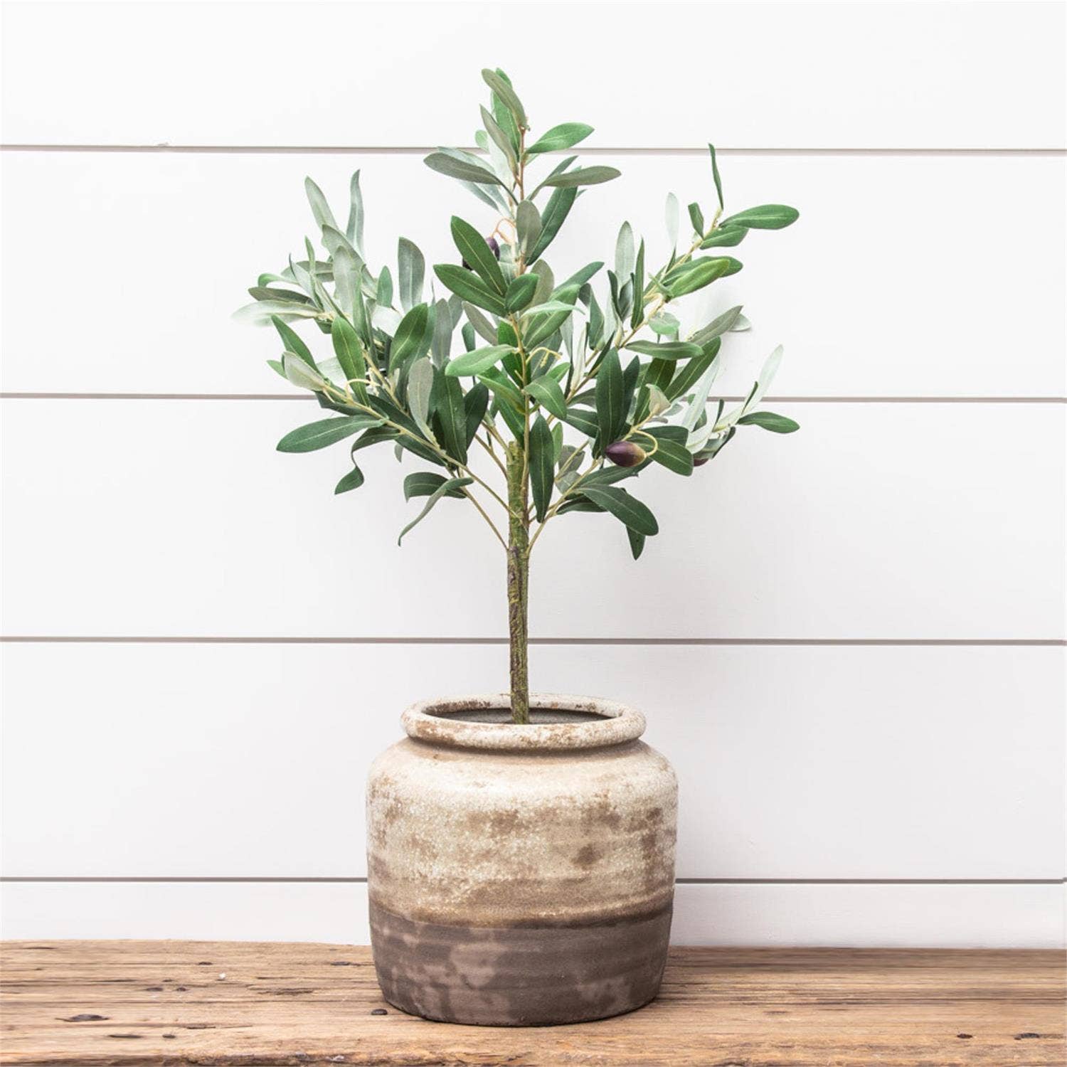 Pottery - Shades of Tan Pot (PC)