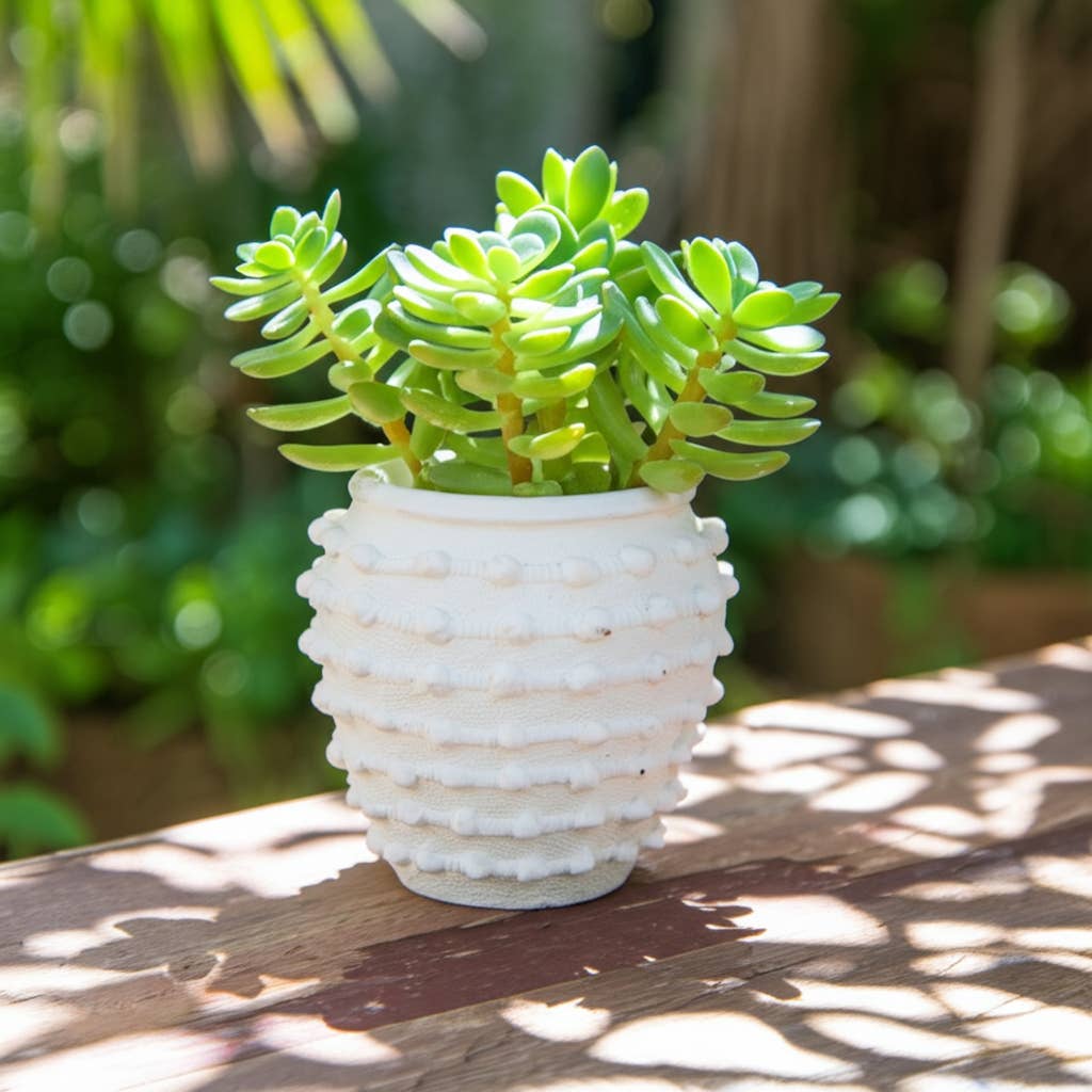 Ceramic Raised Textured Woven Knot Planter - White, 9 in.